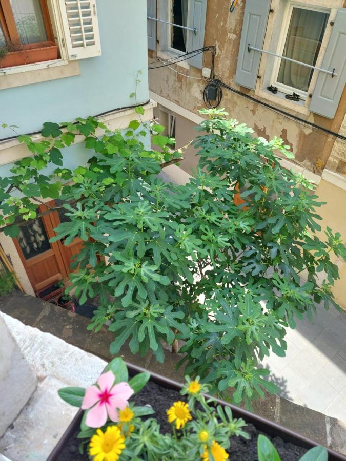 Studio Cebelica Пиран Екстериор снимка